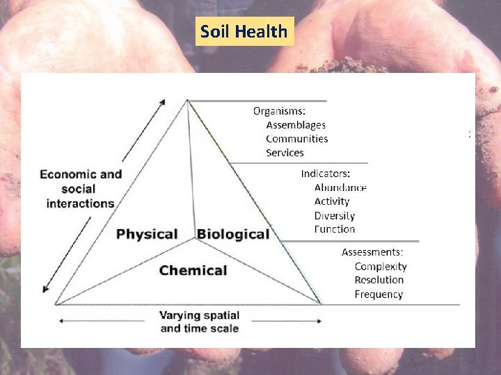 Soil Health 