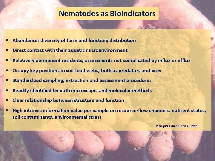 Nematodes as Bioindicators § Abundance; diversity of form and function; distribution § Direct contact