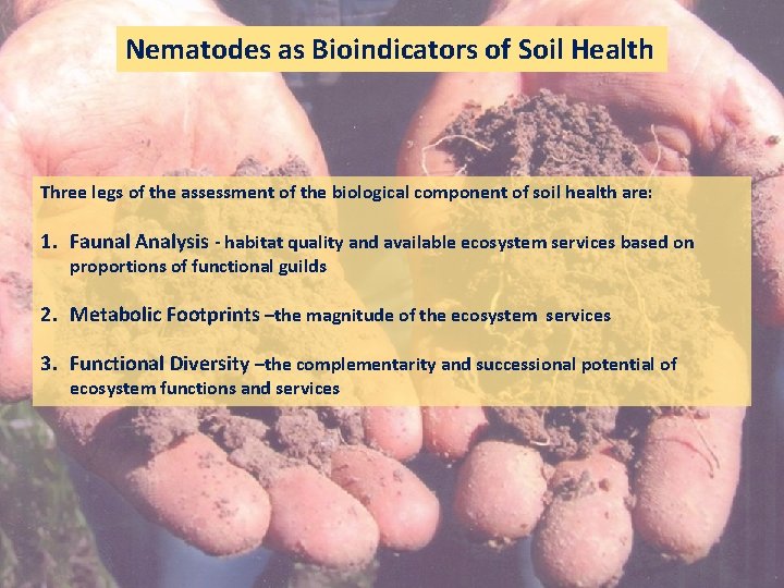 Nematodes as Bioindicators of Soil Health Three legs of the assessment of the biological