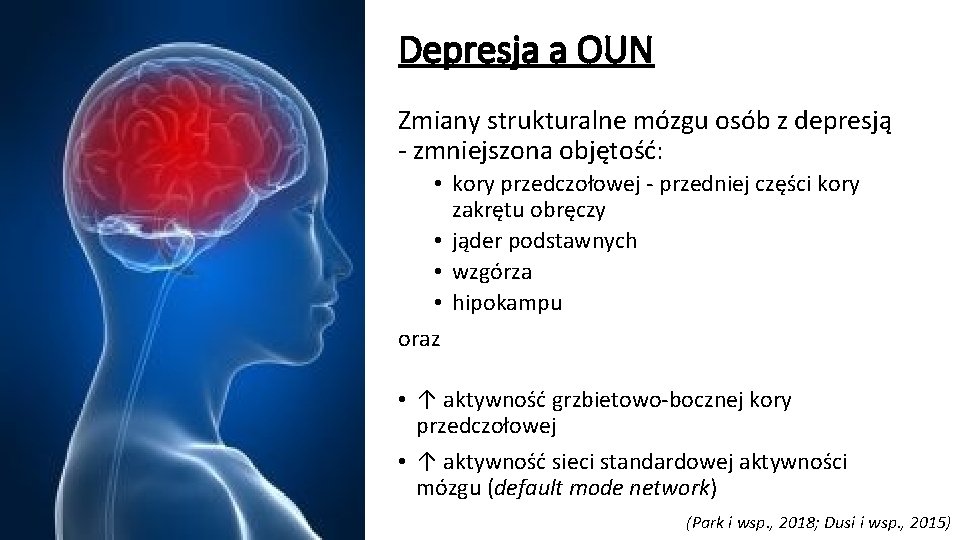 Depresja a OUN Zmiany strukturalne mózgu osób z depresją - zmniejszona objętość: • kory