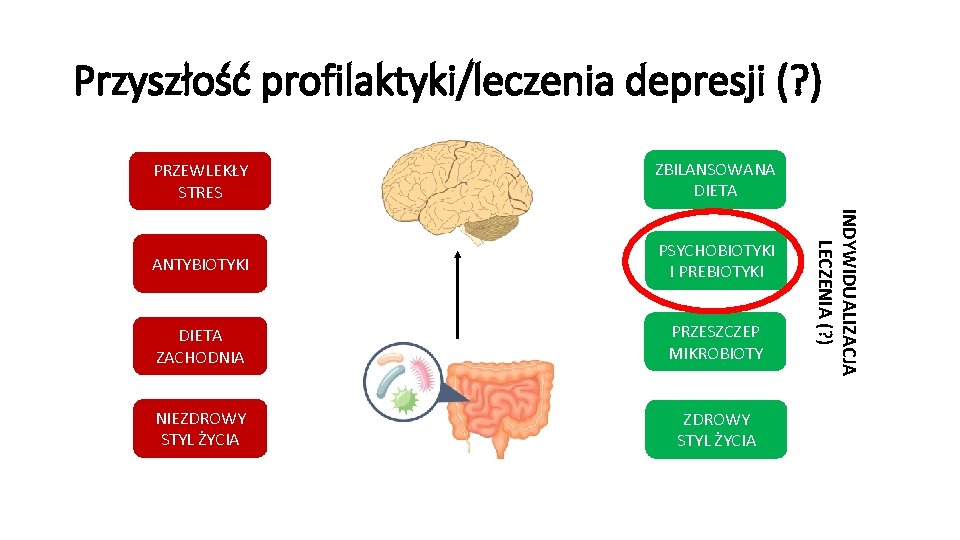 Przyszłość profilaktyki/leczenia depresji (? ) ZBILANSOWANA DIETA ANTYBIOTYKI PSYCHOBIOTYKI I PREBIOTYKI DIETA ZACHODNIA PRZESZCZEP