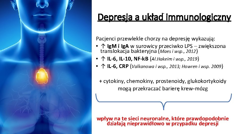 Depresja a układ immunologiczny Pacjenci przewlekle chorzy na depresję wykazują: • ↑ Ig. M