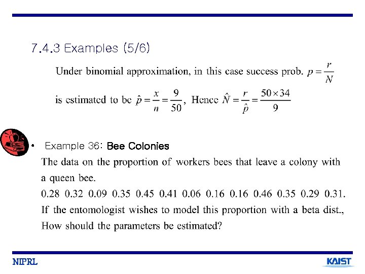 7. 4. 3 Examples (5/6) • Example 36: Bee Colonies NIPRL 