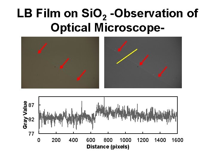 Gray Value LB Film on Si. O 2 -Observation of Optical Microscope- 87 82
