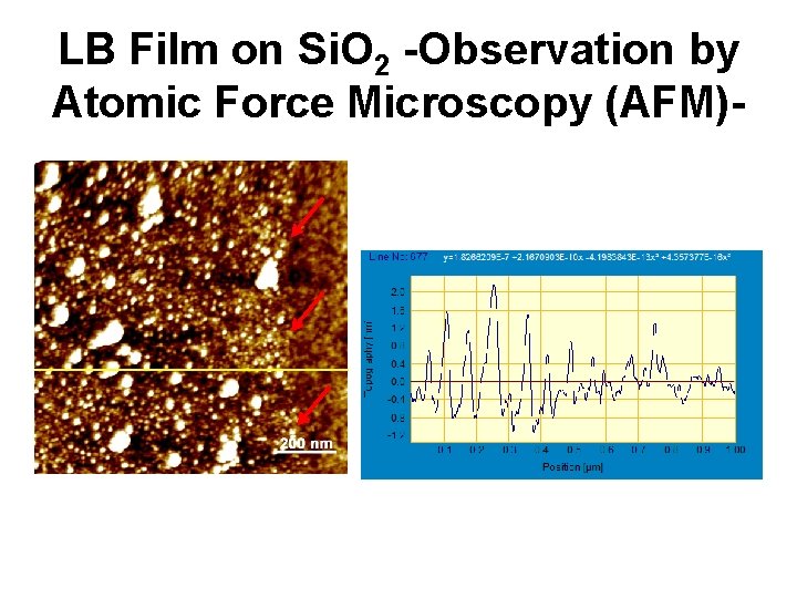 LB Film on Si. O 2 -Observation by Atomic Force Microscopy (AFM)- 