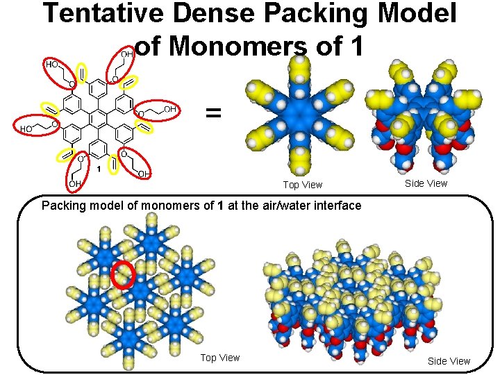 Tentative Dense Packing Model of Monomers of 1 = Top View Side View Packing
