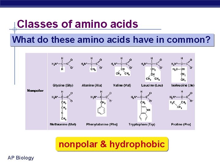 Classes of amino acids What do these amino acids have in common? nonpolar &