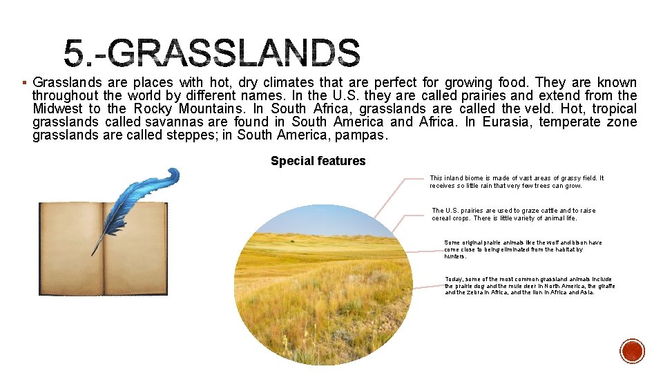 § Grasslands are places with hot, dry climates that are perfect for growing food.