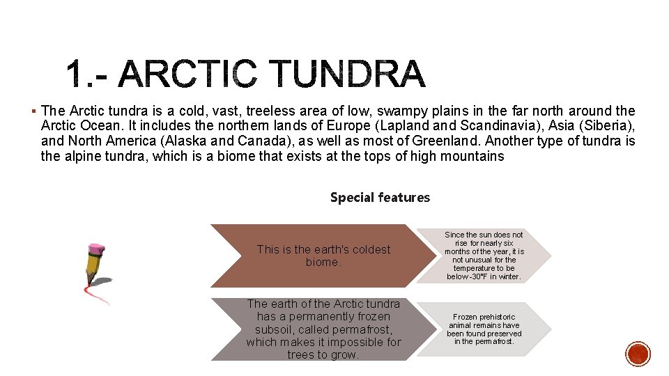 § The Arctic tundra is a cold, vast, treeless area of low, swampy plains