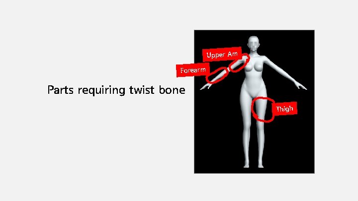 Upper Am Forearm Parts requiring twist bone Thigh 