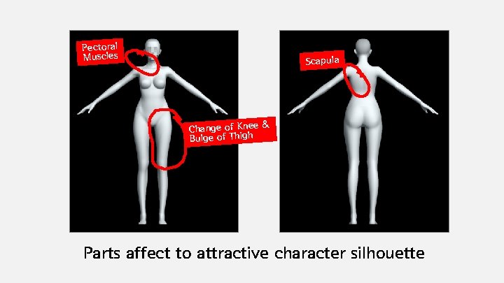 Pectoral Muscles Scapula & Change of Knee Bulge of Thigh Parts affect to attractive