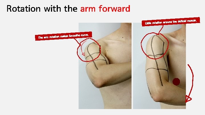 Rotation with the arm forward le. nd the deltoid musc Little rotation arou kes