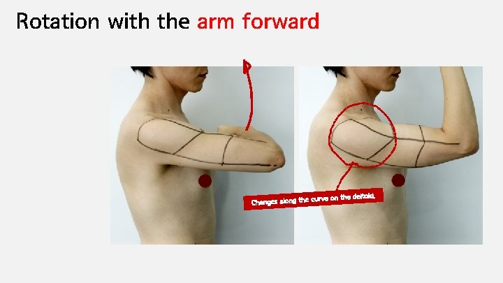 Rotation with the arm forward id. curve on the delto Changes along the 