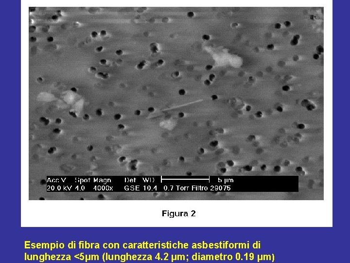 Esempio di fibra con caratteristiche asbestiformi di lunghezza <5μm (lunghezza 4. 2 μm; diametro