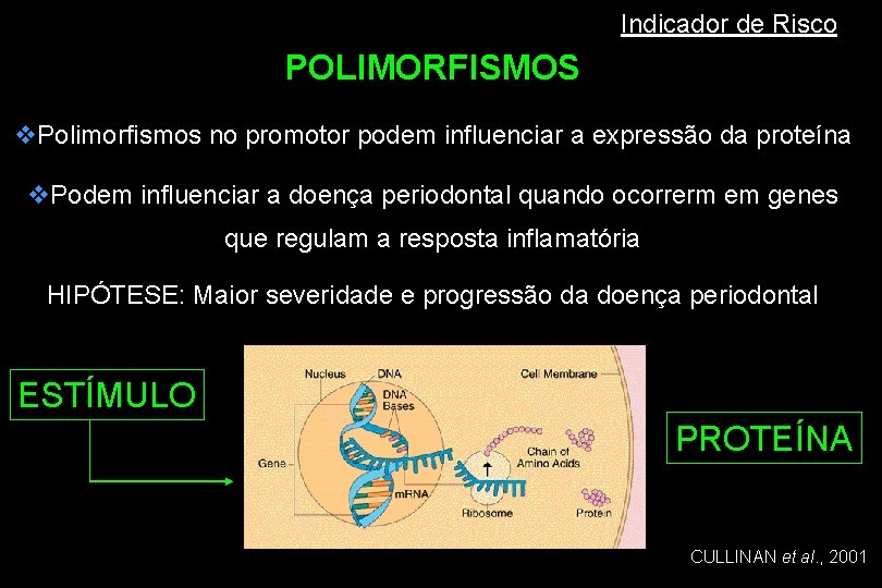 Indicador de Risco POLIMORFISMOS v. Polimorfismos no promotor podem influenciar a expressão da proteína