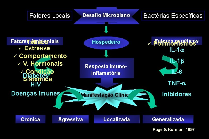 Fatores Locais Desafio Microbiano Fatores Ambientais ü Tabaco ü Estresse ü Comportamento ü V.