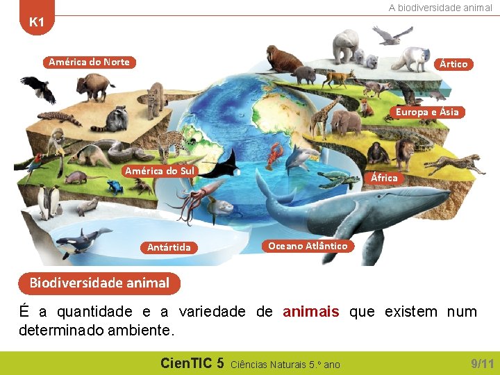 A biodiversidade animal K 1 América do Norte Ártico Europa e Ásia América do