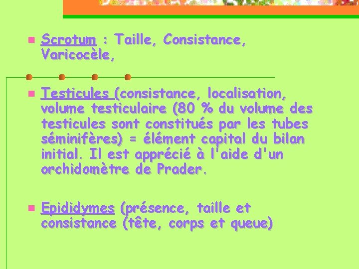  Scrotum : Taille, Consistance, Varicocèle, Testicules (consistance, localisation, volume testiculaire (80 % du
