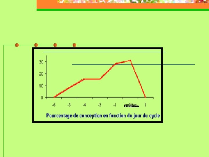 Ovulation 