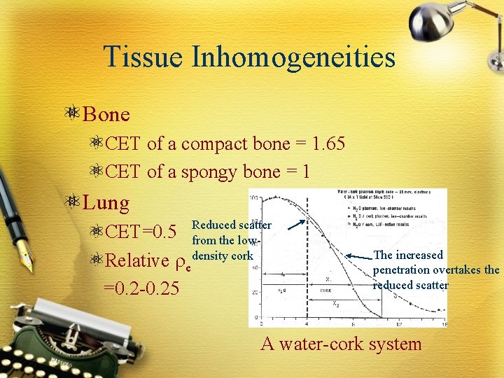 Tissue Inhomogeneities Bone CET of a compact bone = 1. 65 CET of a