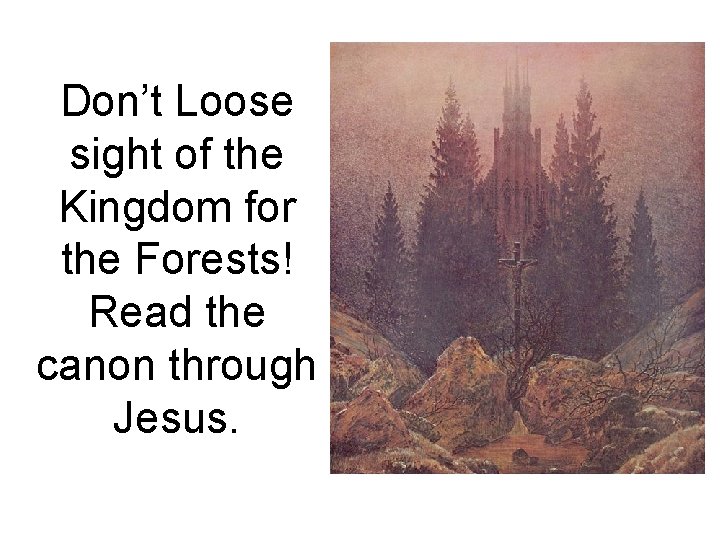 Don’t Loose sight of the Kingdom for the Forests! Read the canon through Jesus.