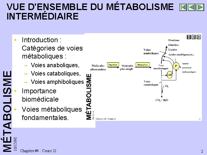 VUE D'ENSEMBLE DU MÉTABOLISME INTERMÉDIAIRE – Voies anaboliques, – Voies cataboliques, – Voies amphiboliques,