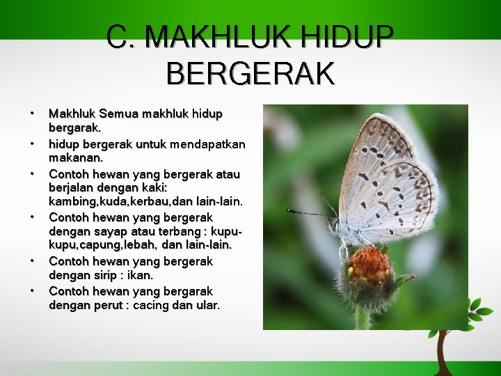 C. MAKHLUK HIDUP BERGERAK • • • Makhluk Semua makhluk hidup bergarak. hidup bergerak