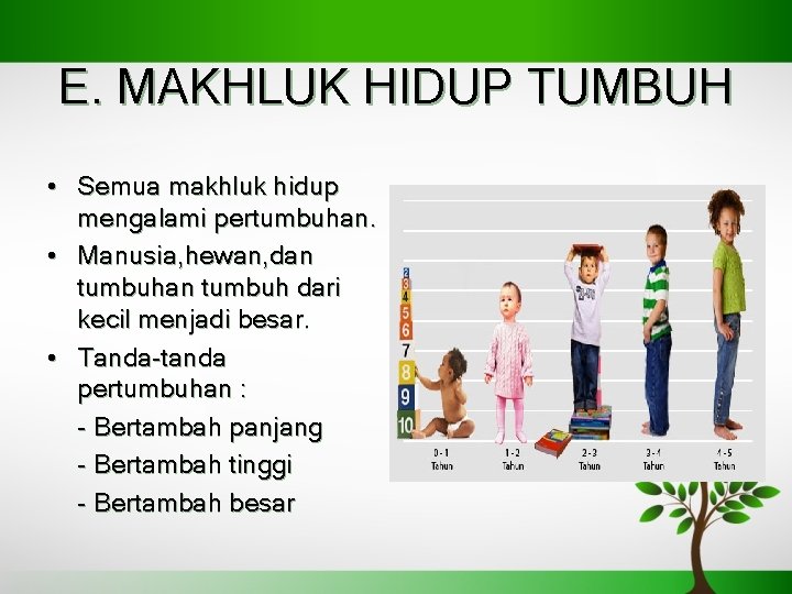 E. MAKHLUK HIDUP TUMBUH • Semua makhluk hidup mengalami pertumbuhan. • Manusia, hewan, dan