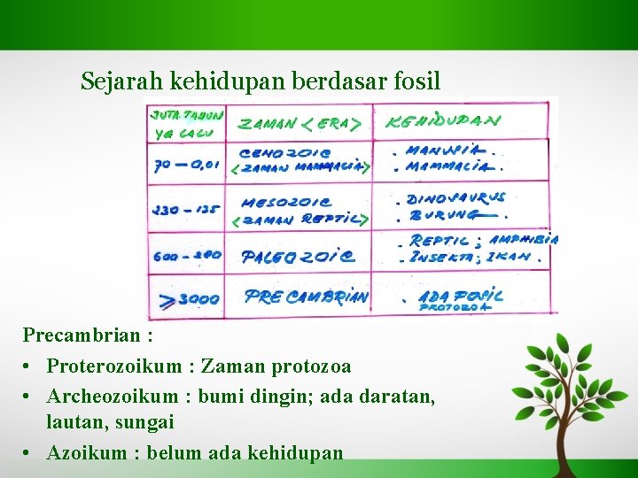 Sejarah kehidupan berdasar fosil Precambrian : • Proterozoikum : Zaman protozoa • Archeozoikum :