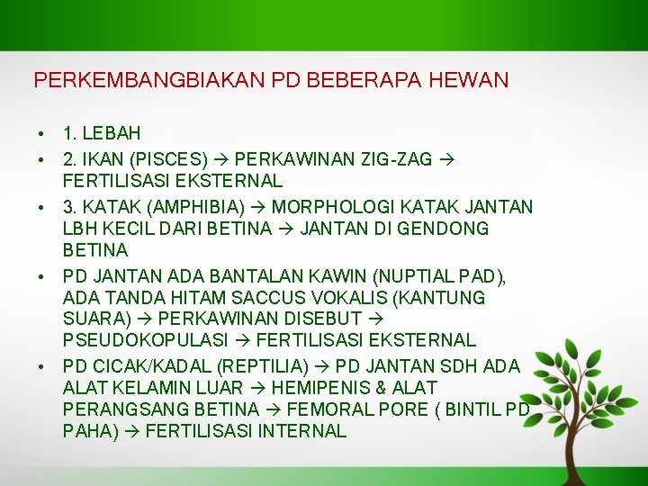 PERKEMBANGBIAKAN PD BEBERAPA HEWAN • 1. LEBAH • 2. IKAN (PISCES) PERKAWINAN ZIG-ZAG FERTILISASI