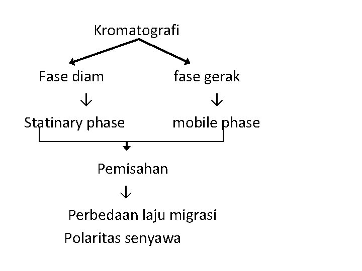 Kromatografi Fase diam ↓ Statinary phase fase gerak ↓ mobile phase Pemisahan ↓ Perbedaan