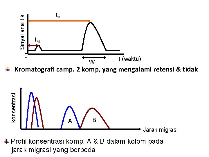 Sinyal analitik t. A t. M 0 W t (waktu) konsentrasi Kromatografi camp. 2