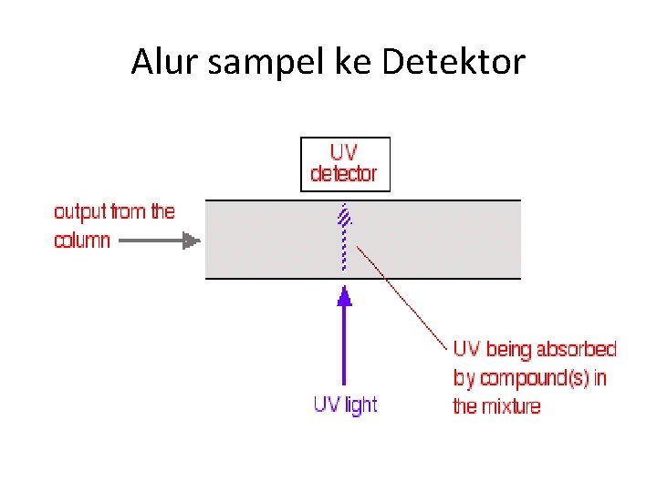 Alur sampel ke Detektor 