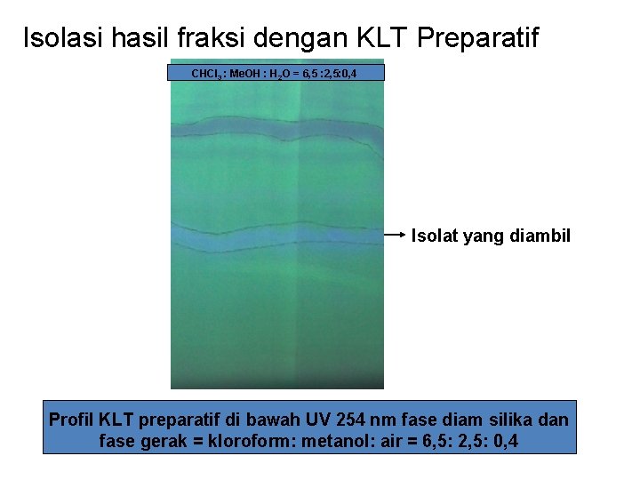 Isolasi hasil fraksi dengan KLT Preparatif CHCl 3 : Me. OH : H 2