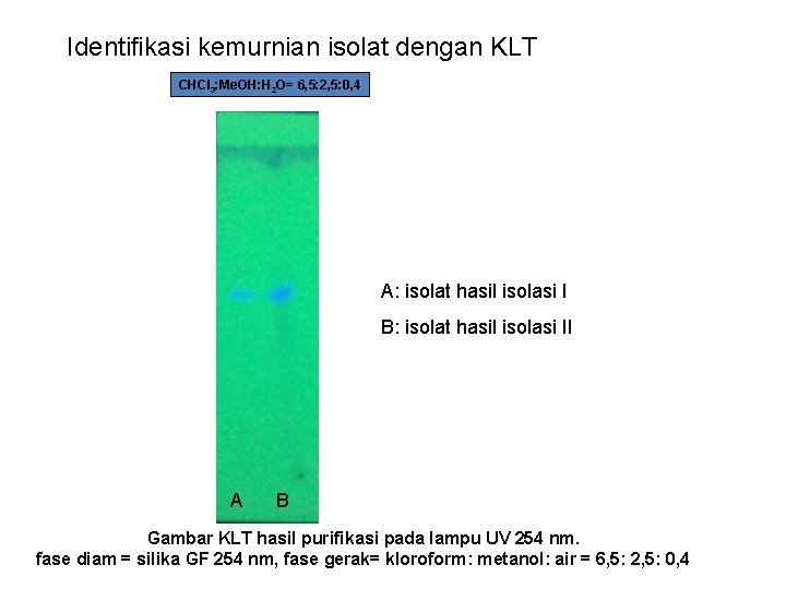 Identifikasi kemurnian isolat dengan KLT CHCl 3: Me. OH: H 2 O= 6, 5: