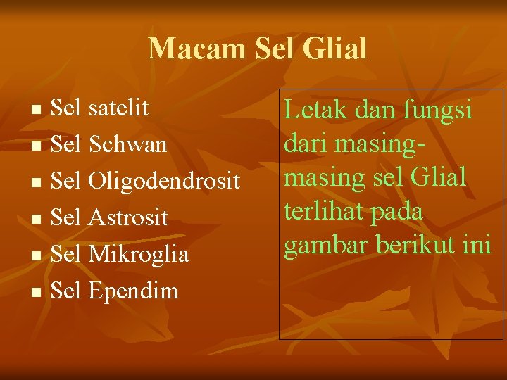 Macam Sel Glial Sel satelit n Sel Schwan n Sel Oligodendrosit n Sel Astrosit