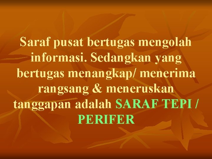 Saraf pusat bertugas mengolah informasi. Sedangkan yang bertugas menangkap/ menerima rangsang & meneruskan tanggapan