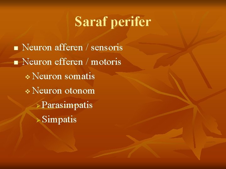 Saraf perifer n n Neuron afferen / sensoris Neuron efferen / motoris v Neuron