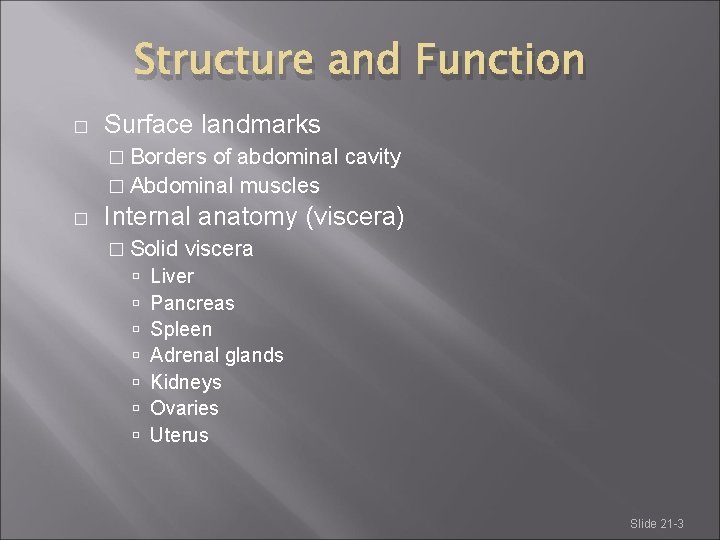 Structure and Function � Surface landmarks � Borders of abdominal cavity � Abdominal muscles
