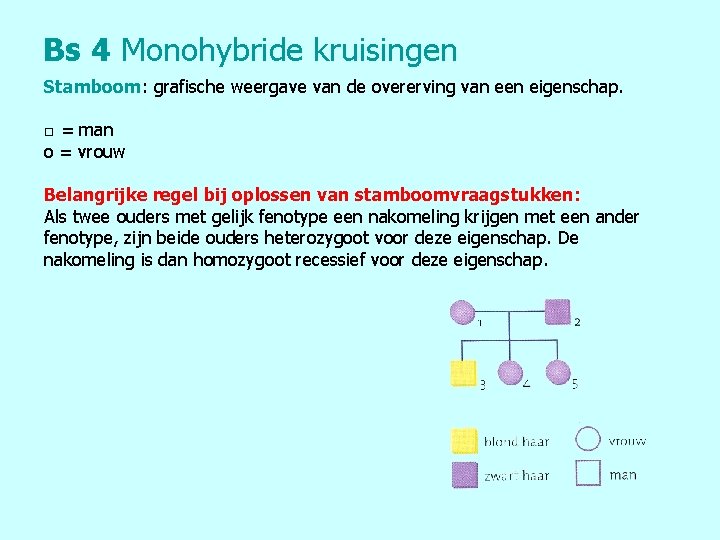 Bs 4 Monohybride kruisingen Stamboom: grafische weergave van de overerving van een eigenschap. □