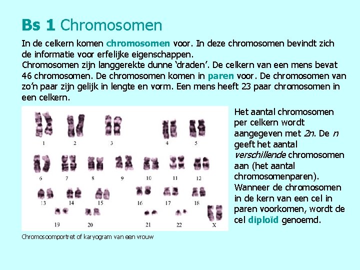 Bs 1 Chromosomen In de celkern komen chromosomen voor. In deze chromosomen bevindt zich