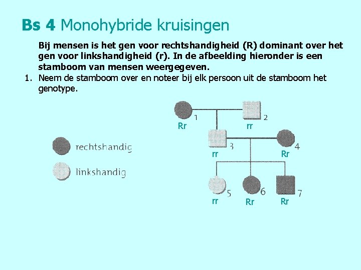 Bs 4 Monohybride kruisingen Bij mensen is het gen voor rechtshandigheid (R) dominant over