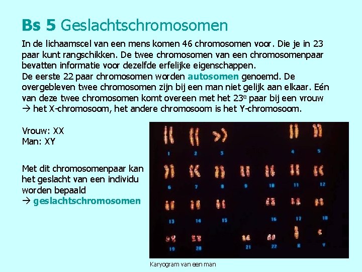 Bs 5 Geslachtschromosomen In de lichaamscel van een mens komen 46 chromosomen voor. Die