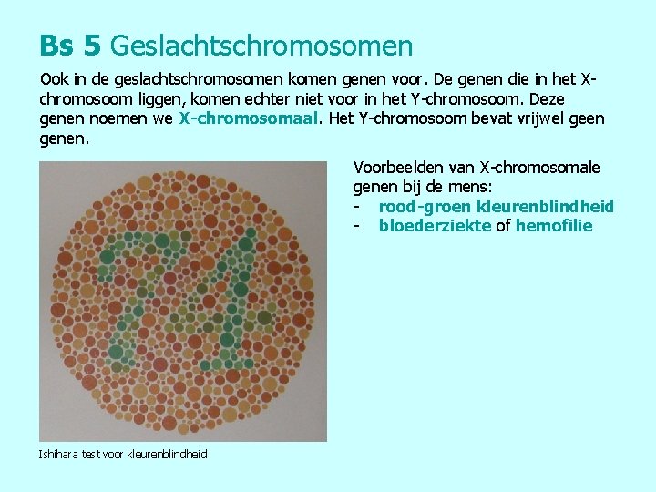 Bs 5 Geslachtschromosomen Ook in de geslachtschromosomen komen genen voor. De genen die in