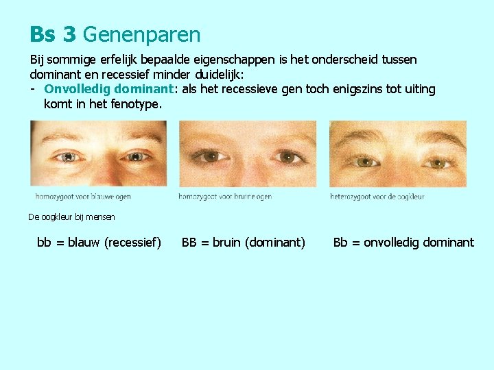 Bs 3 Genenparen Bij sommige erfelijk bepaalde eigenschappen is het onderscheid tussen dominant en