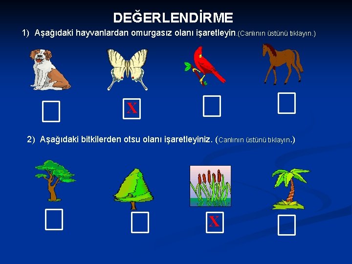 DEĞERLENDİRME 1) Aşağıdaki hayvanlardan omurgasız olanı işaretleyin. (Canlının üstünü tıklayın. ) X 2) Aşağıdaki