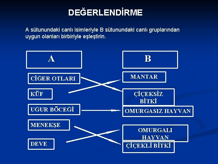 DEĞERLENDİRME A sütunundaki canlı isimleriyle B sütunundaki canlı gruplarından uygun olanları birbiriyle eşleştirin. A