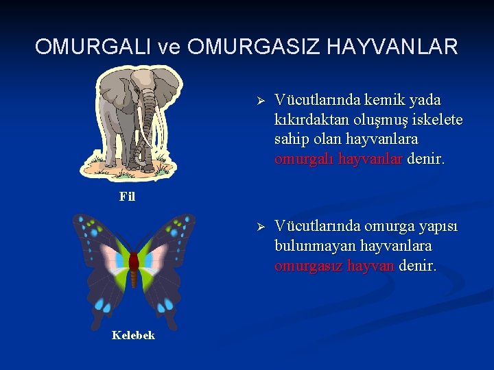 OMURGALI ve OMURGASIZ HAYVANLAR Ø Vücutlarında kemik yada kıkırdaktan oluşmuş iskelete sahip olan hayvanlara