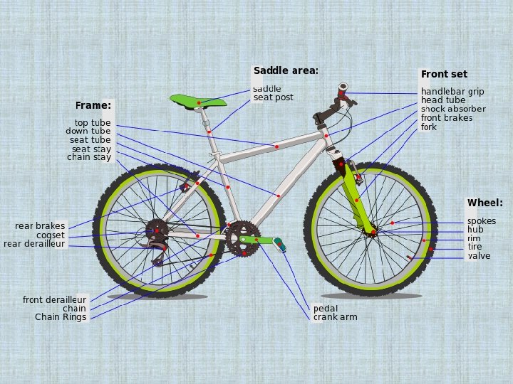 SIZES AND PARTS OF A MOUNTAIN BIKE Daniel