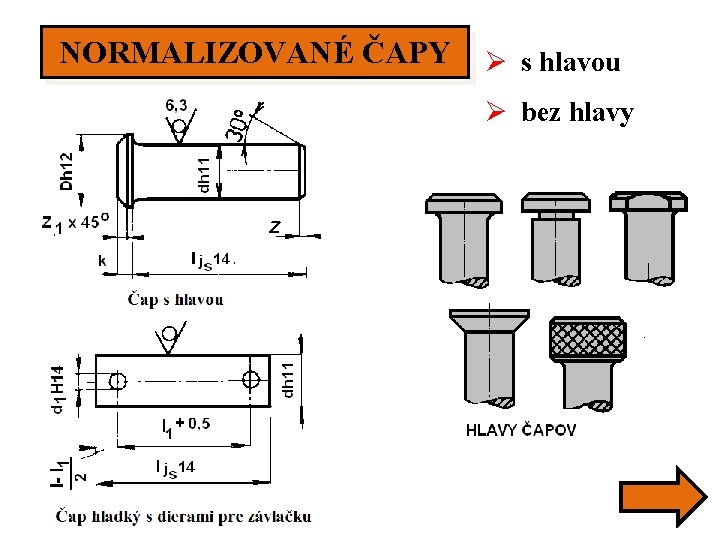 NORMALIZOVANÉ ČAPY Ø s hlavou Ø bez hlavy 